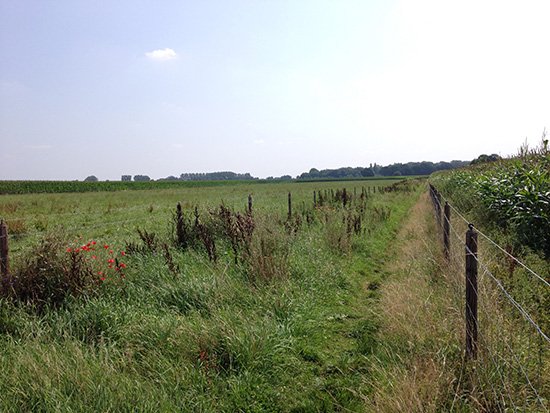 Wandelen in de Kempen Oirschot