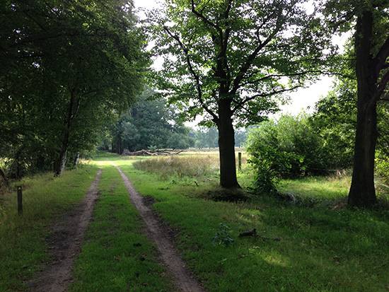 Countryside The Mortelen