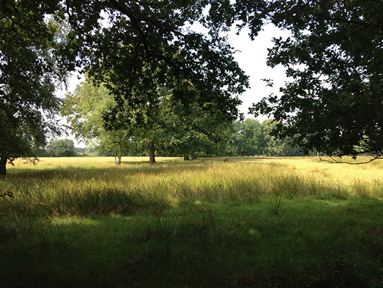 Wandelen Mortelen