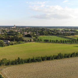 Wandelen in Oirschot